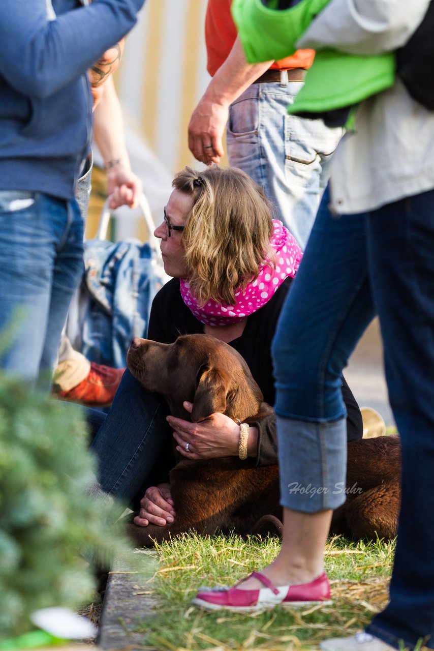 Bild 112 - Wiemersdorfer Maibaum